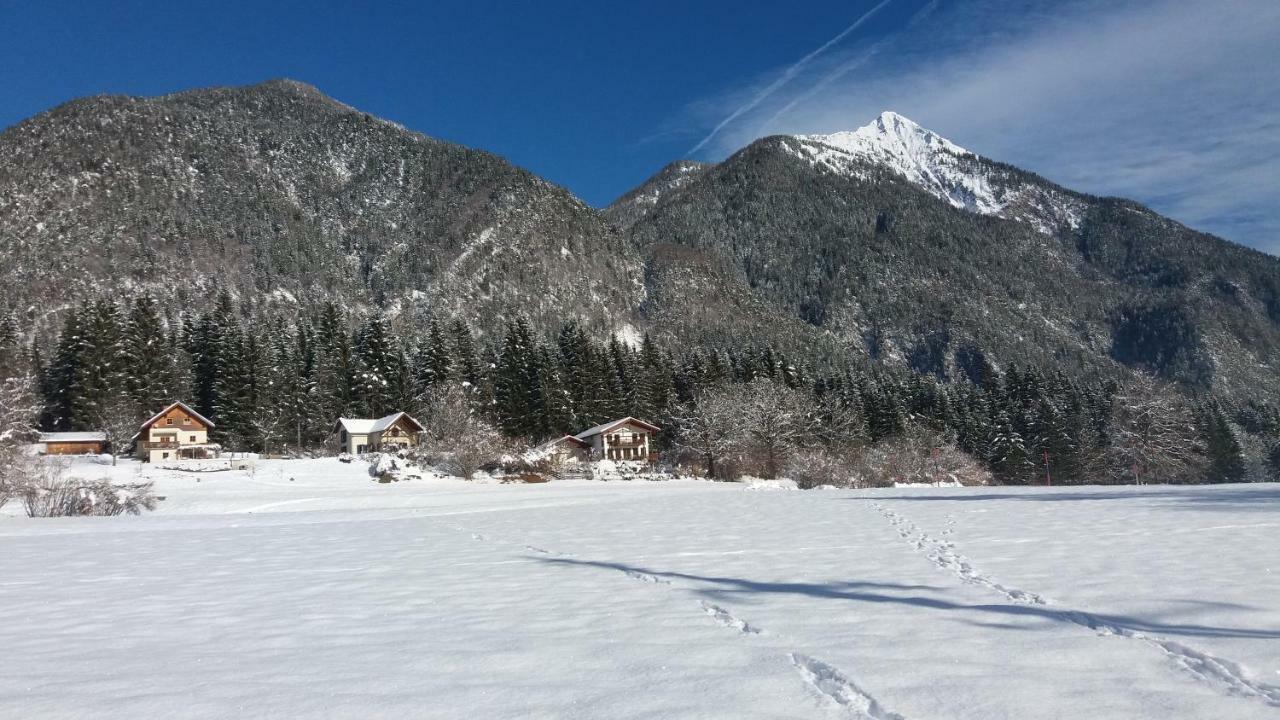 Villa Haus Jana Hermagor-Pressegger See Esterno foto